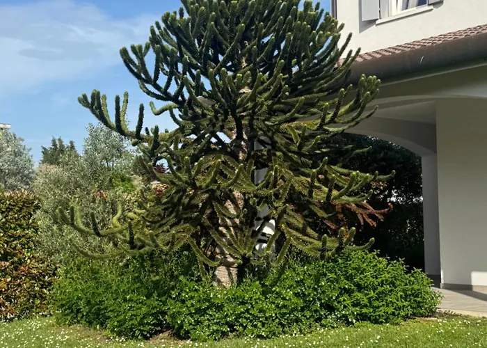 Amazing Private Villa Caorle