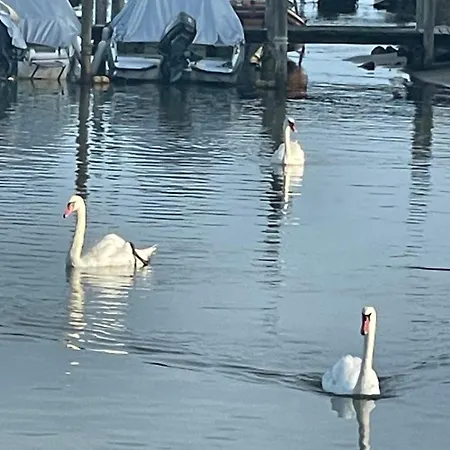 Amazing Private Βίλα Καόρλε