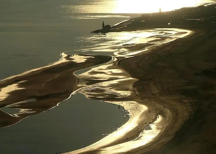 فيلة Amazing Private *