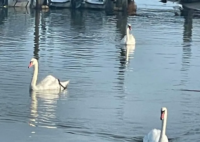 Amazing Private Βίλα Καόρλε